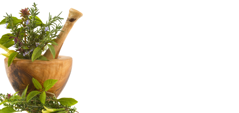 Healing-Herbs11